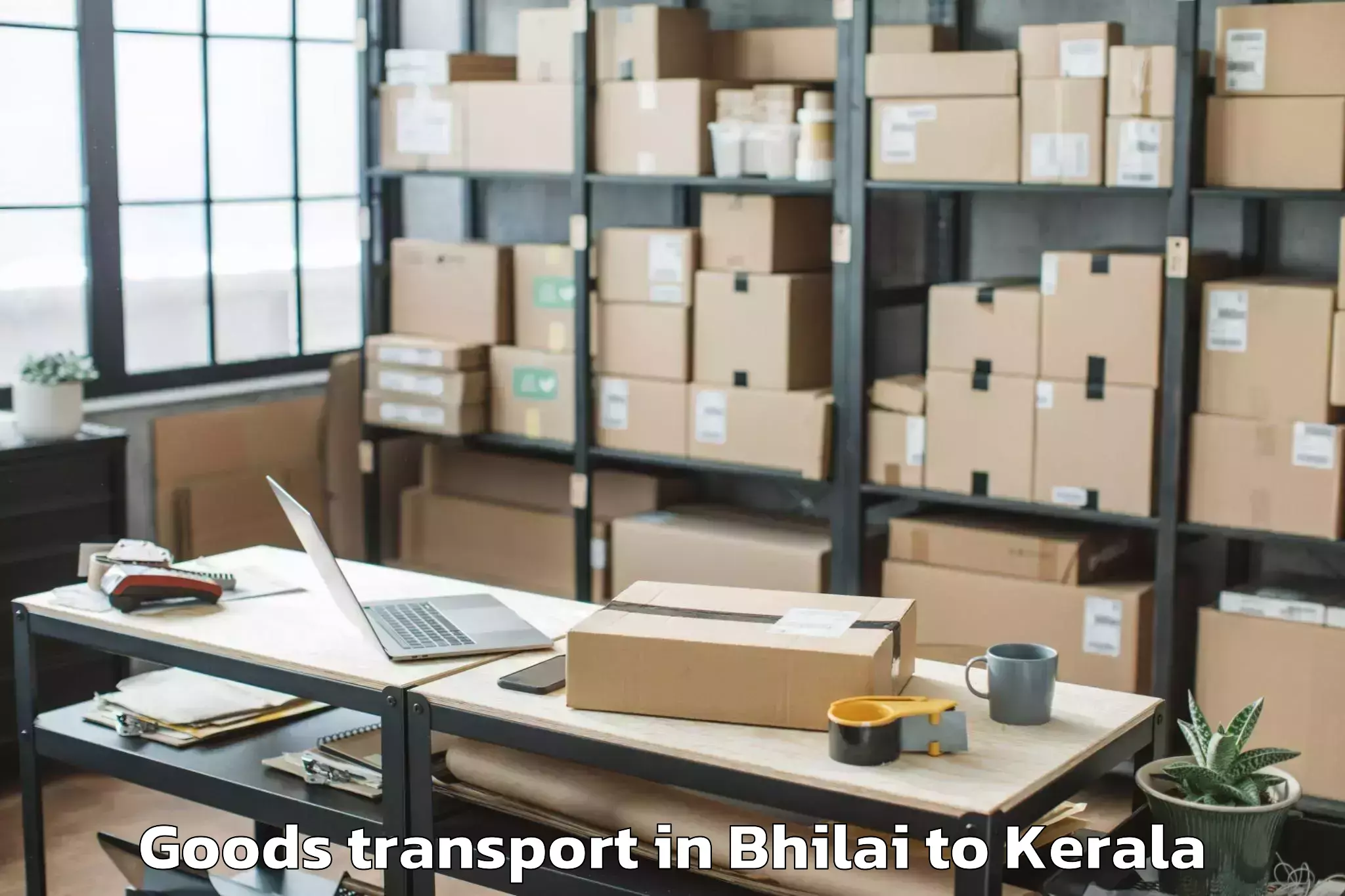 Affordable Bhilai to Chingavanam Goods Transport